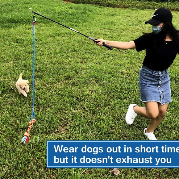 Lightweight Interactive Flirt Pole for Dogs - Perfect for Indoor & Outdoor Play - Picture 2 of 6